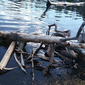 Meet your Posher, Chloe